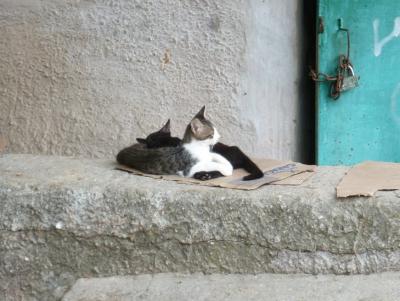 Прикрепленное изображение: P1070528.jpg